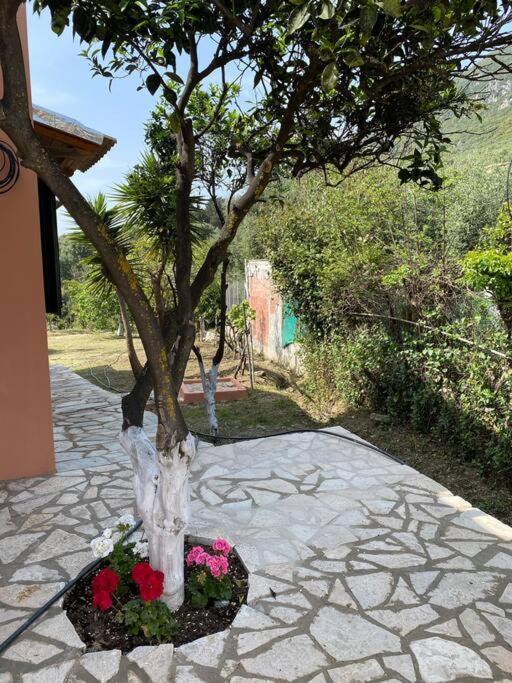 Casa Piccolino Villa Paramonas  Exterior photo